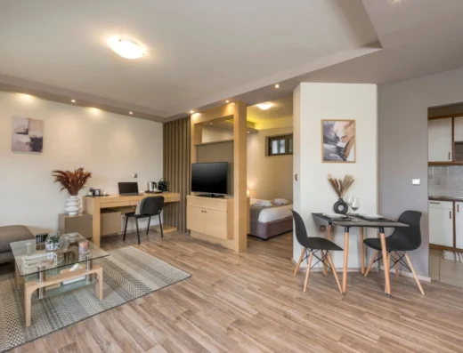 Zen Luxury Studio