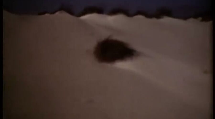 See What Elafonisi Looked Like in 1979 (Video)